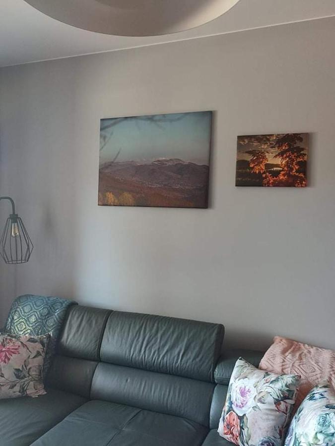 Lux Apartament Odkryj - Bieszczady Ustrzyki Dolne Exterior foto